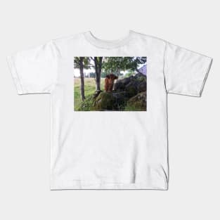 Scottish Highland Cattle Calf 1477 Kids T-Shirt